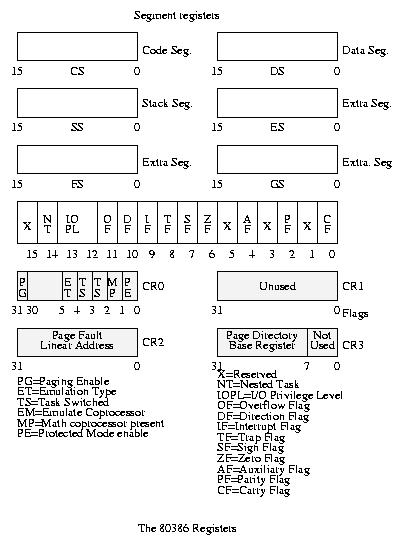 fig2.jpg